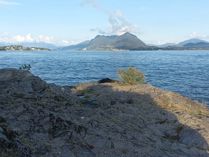 Scogli con incisioni cuppelliformi - Isola Pescatori