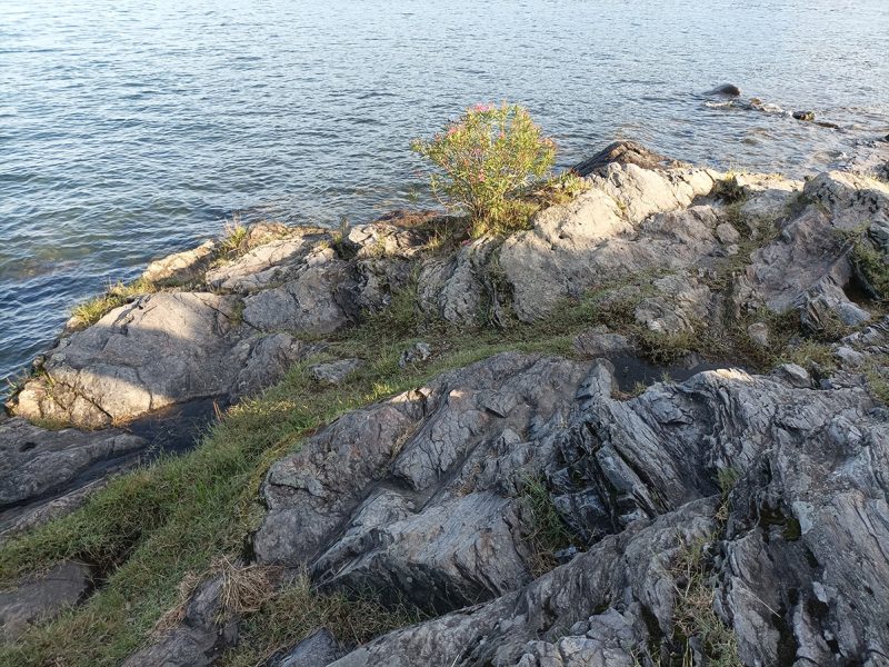 Scogli con incisioni cuppelliformi - Isola Pescatori